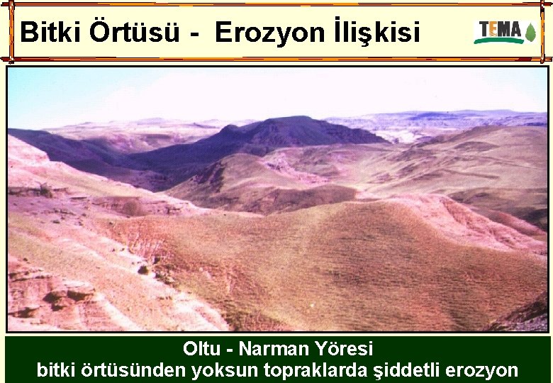 Bitki Örtüsü - Erozyon İlişkisi Oltu - Narman Yöresi bitki örtüsünden yoksun topraklarda şiddetli