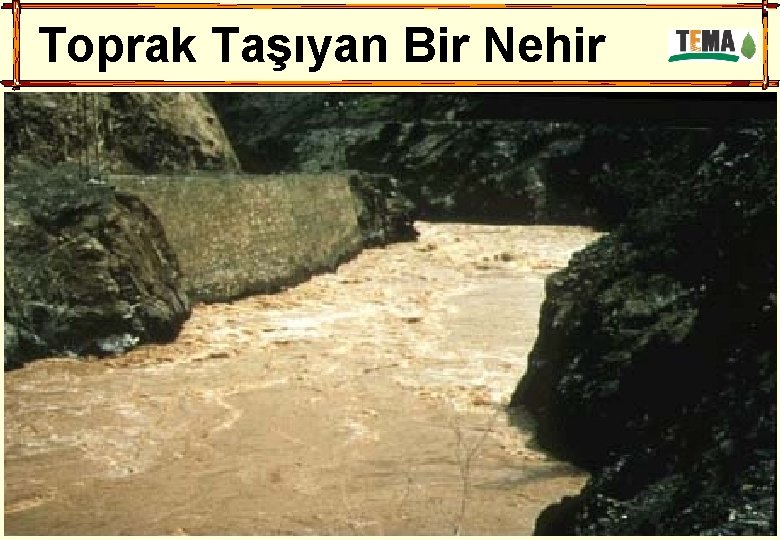 Toprak Taşıyan Bir Nehir 