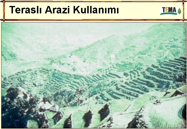 Teraslı Arazi Kullanımı 