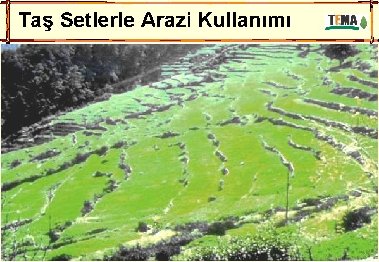 Taş Setlerle Arazi Kullanımı 