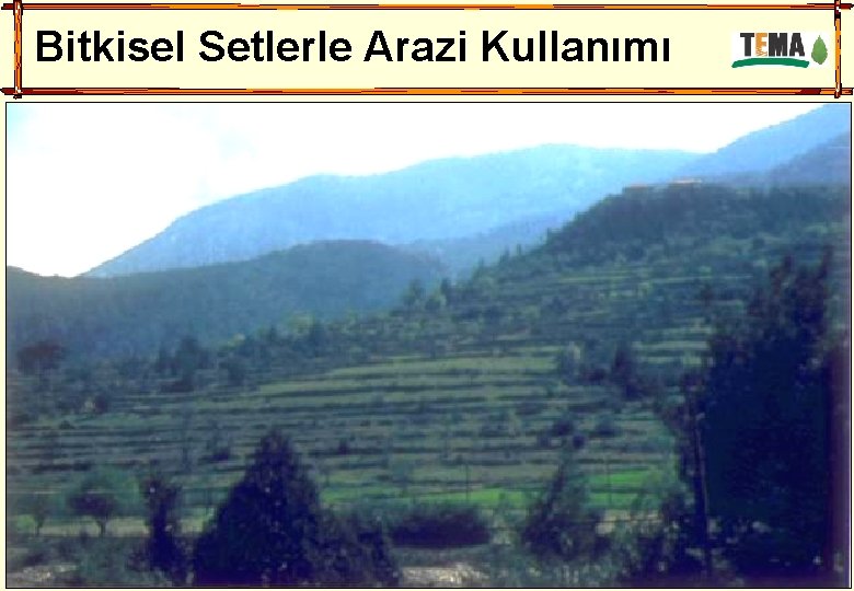 Bitkisel Setlerle Arazi Kullanımı 