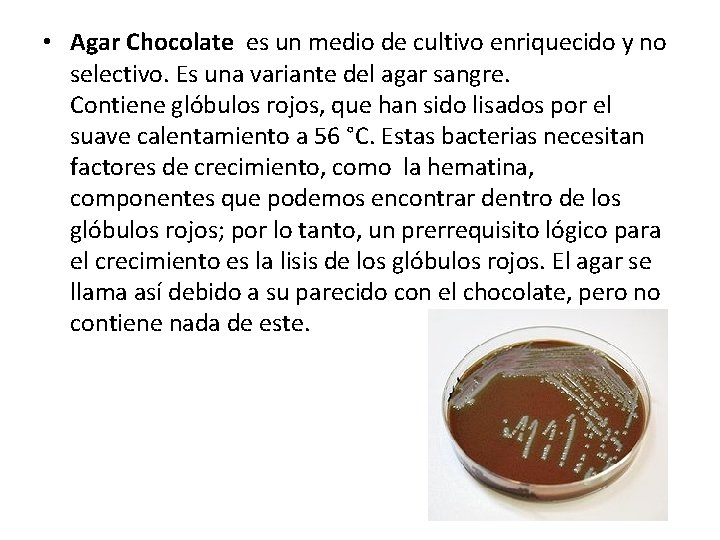  • Agar Chocolate es un medio de cultivo enriquecido y no selectivo. Es