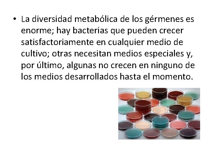  • La diversidad metabólica de los gérmenes es enorme; hay bacterias que pueden