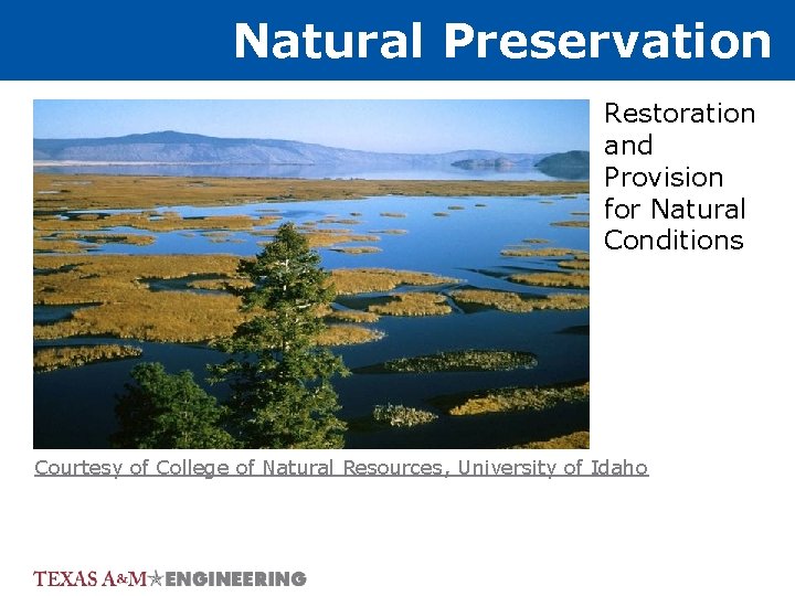 Natural Preservation Restoration and Provision for Natural Conditions Courtesy of College of Natural Resources,