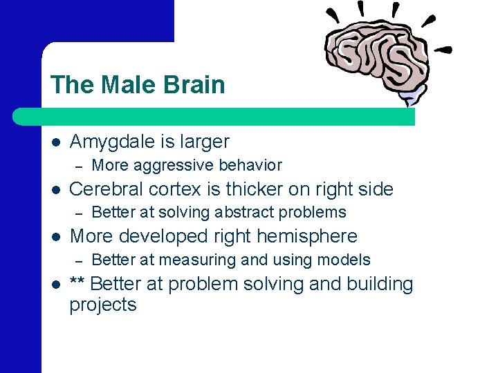 The Male Brain l Amygdale is larger – l Cerebral cortex is thicker on