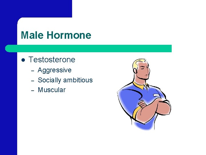 Male Hormone l Testosterone – – – Aggressive Socially ambitious Muscular 