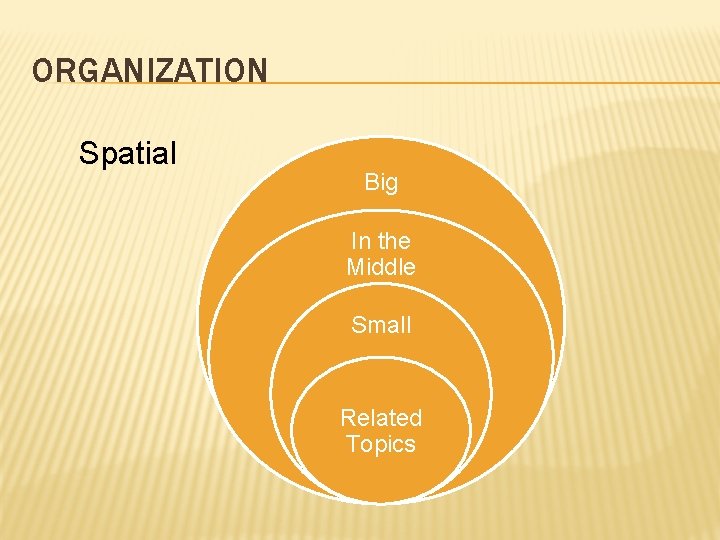 ORGANIZATION Spatial Big In the Middle Small Related Topics 