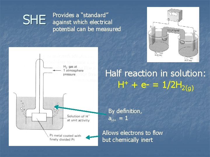 SHE Provides a “standard” against which electrical potential can be measured Half reaction in