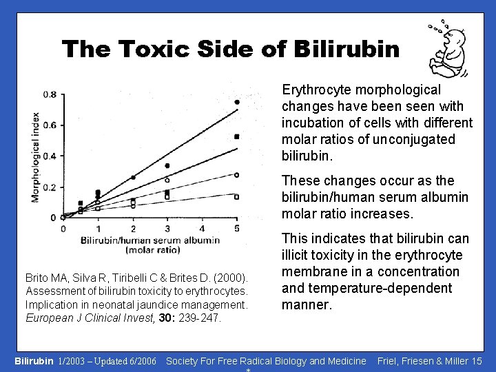 The Toxic Side of Bilirubin Erythrocyte morphological changes have been seen with incubation of