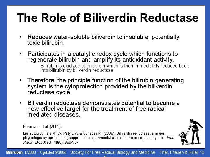 The Role of Biliverdin Reductase • Reduces water-soluble biliverdin to insoluble, potentially toxic bilirubin.