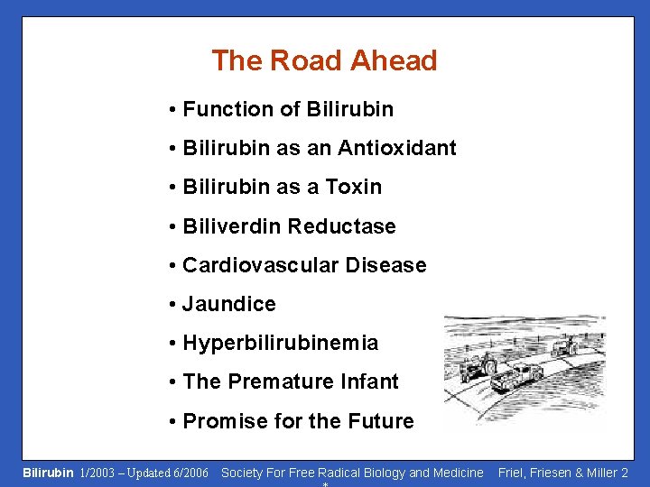 The Road Ahead • Function of Bilirubin • Bilirubin as an Antioxidant • Bilirubin