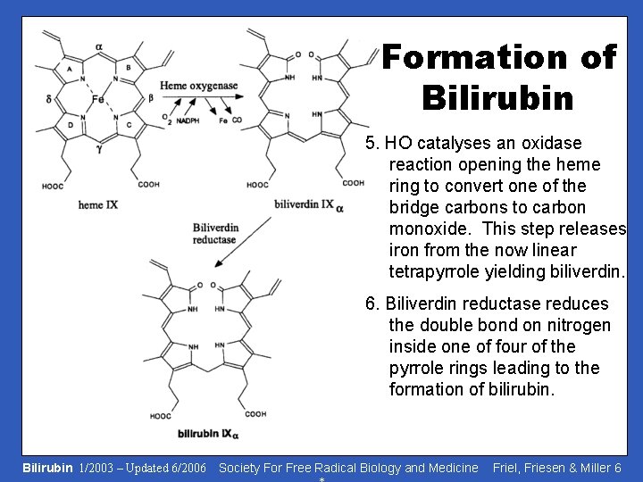 Formation of Bilirubin 5. HO catalyses an oxidase reaction opening the heme ring to