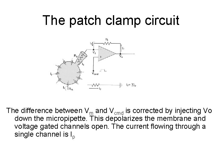 The patch clamp circuit The difference between Vm and Vcmd is corrected by injecting