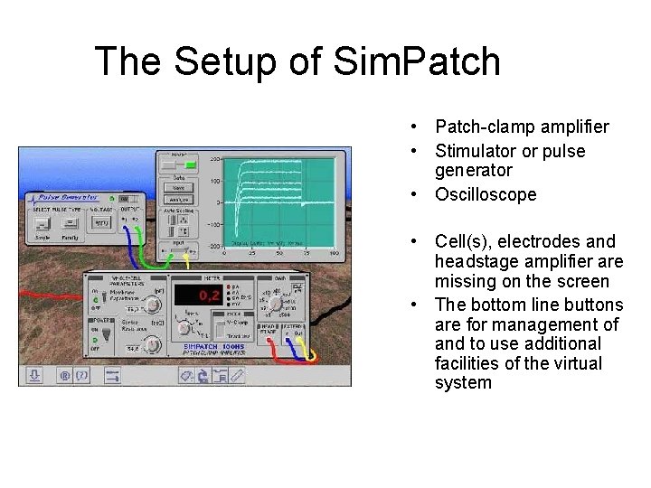 The Setup of Sim. Patch • Patch-clamp amplifier • Stimulator or pulse generator •