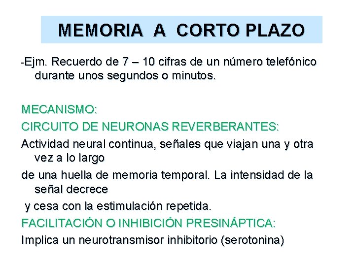 MEMORIA A CORTO PLAZO -Ejm. Recuerdo de 7 – 10 cifras de un número