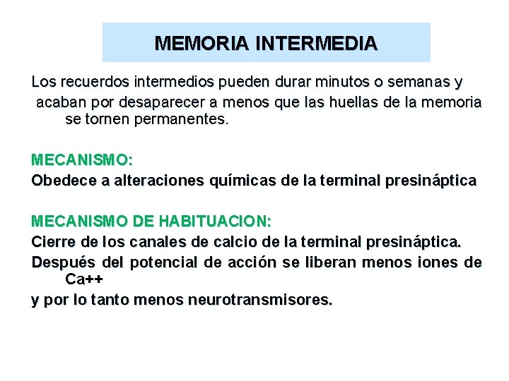 MEMORIA INTERMEDIA Los recuerdos intermedios pueden durar minutos o semanas y acaban por desaparecer