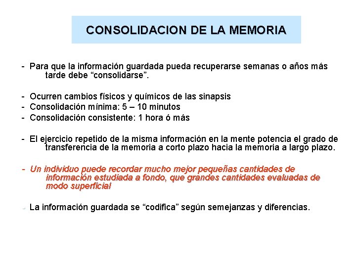 CONSOLIDACION DE LA MEMORIA - Para que la información guardada pueda recuperarse semanas o