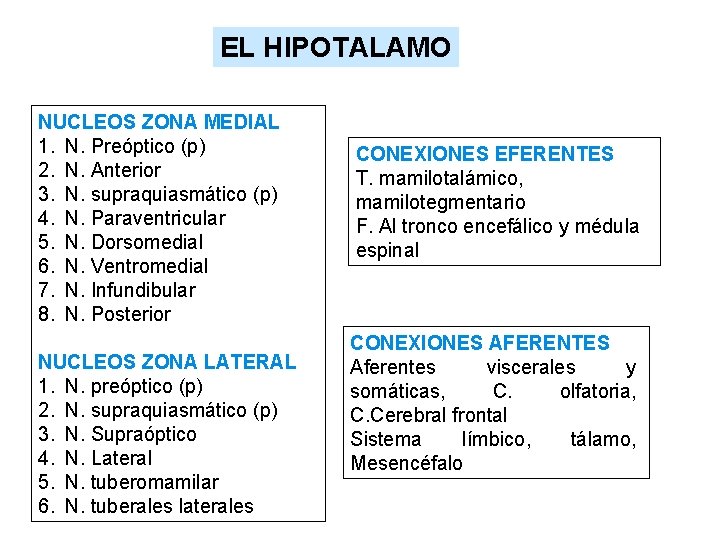 EL HIPOTALAMO NUCLEOS ZONA MEDIAL 1. N. Preóptico (p) 2. N. Anterior 3. N.