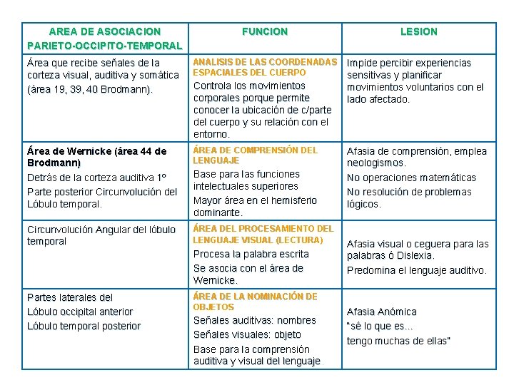 AREA DE ASOCIACION PARIETO-OCCIPITO-TEMPORAL FUNCION Área que recibe señales de la corteza visual, auditiva