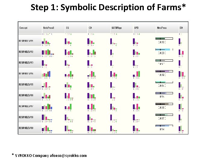 Step 1: Symbolic Description of Farms* * SYROKKO Company afonso@syrokko. com 