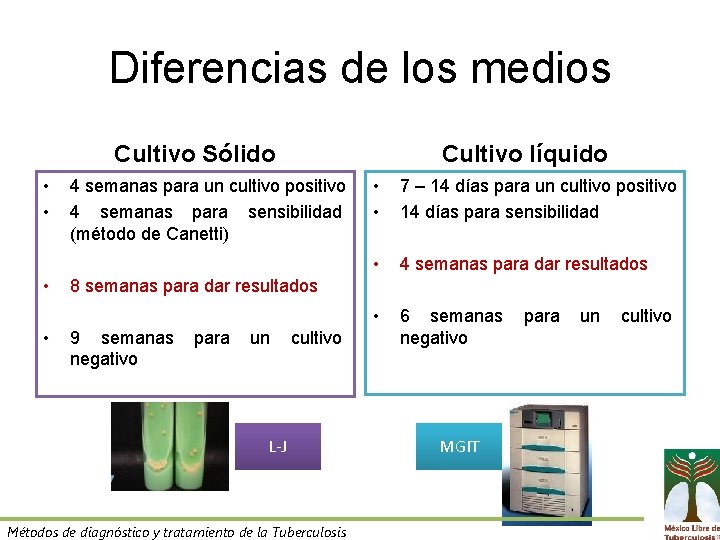 Diferencias de los medios Cultivo Sólido • • Cultivo líquido 4 semanas para un
