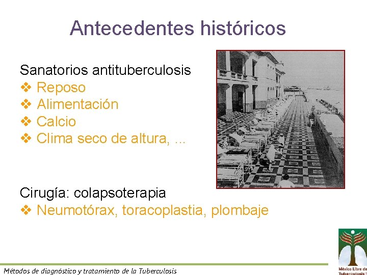 Antecedentes históricos Sanatorios antituberculosis v Reposo v Alimentación v Calcio v Clima seco de