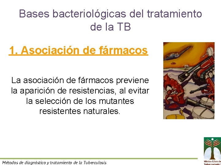 Bases bacteriológicas del tratamiento de la TB 1. Asociación de fármacos La asociación de
