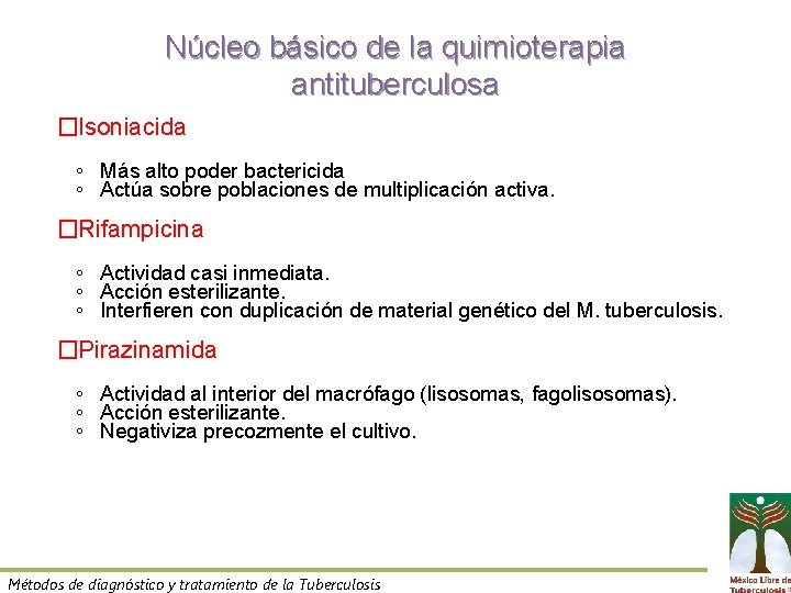 Núcleo básico de la quimioterapia antituberculosa �Isoniacida ◦ Más alto poder bactericida ◦ Actúa