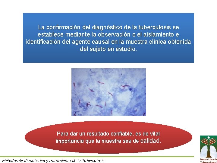 La confirmación del diagnóstico de la tuberculosis se establece mediante la observación o el