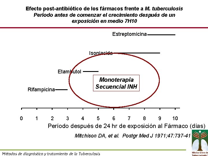 Efecto post-antibiótico de los fármacos frente a M. tuberculosis Período antes de comenzar el