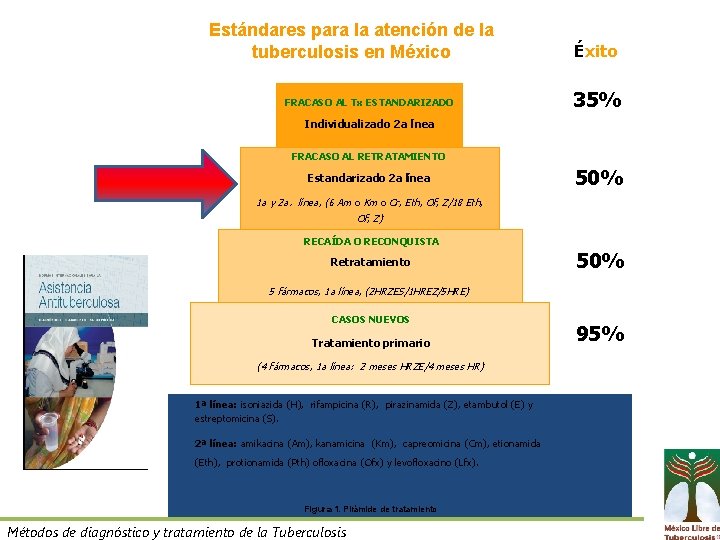 Estándares para la atención de la tuberculosis en México FRACASO AL Tx ESTANDARIZADO Éxito