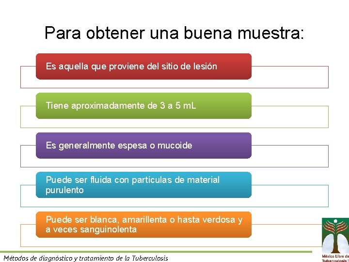 Para obtener una buena muestra: Es aquella que proviene del sitio de lesión Tiene