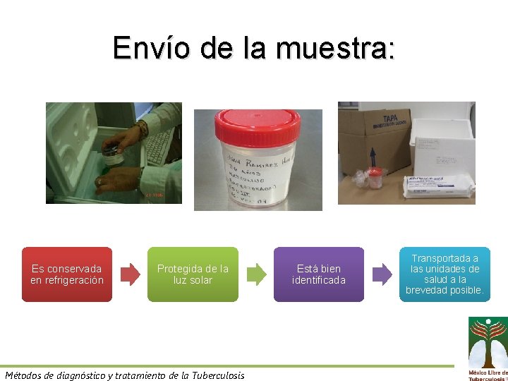 Envío de la muestra: Es conservada en refrigeración Protegida de la luz solar Métodos