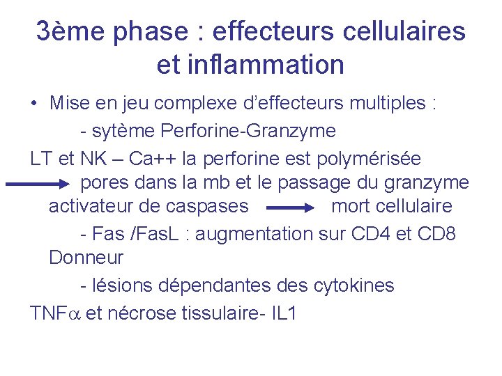 3ème phase : effecteurs cellulaires et inflammation • Mise en jeu complexe d’effecteurs multiples