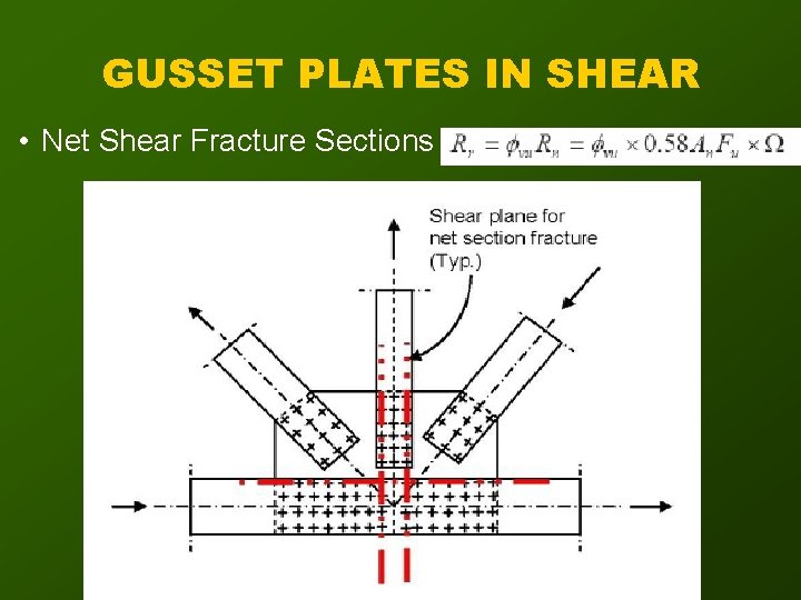 GUSSET PLATES IN SHEAR • Net Shear Fracture Sections 