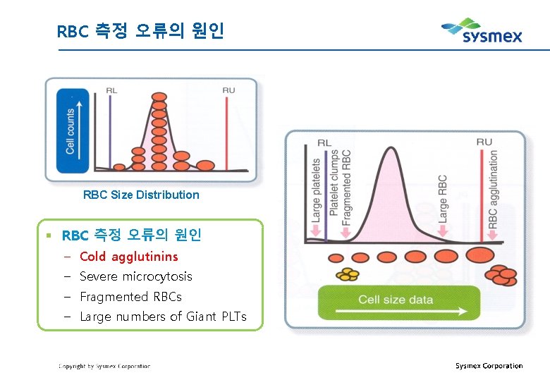 RBC 측정 오류의 원인 RBC Size Distribution § RBC 측정 오류의 원인 – Cold