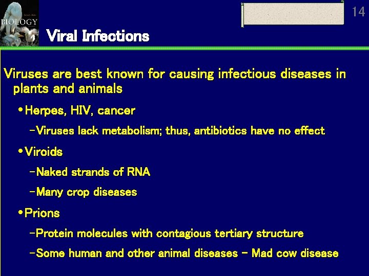 14 Viral Infections Viruses are best known for causing infectious diseases in plants and