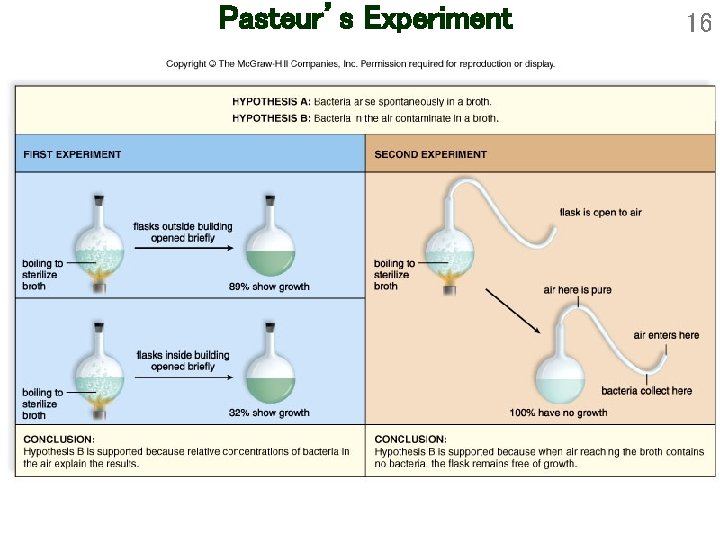 Pasteur’s Experiment 16 