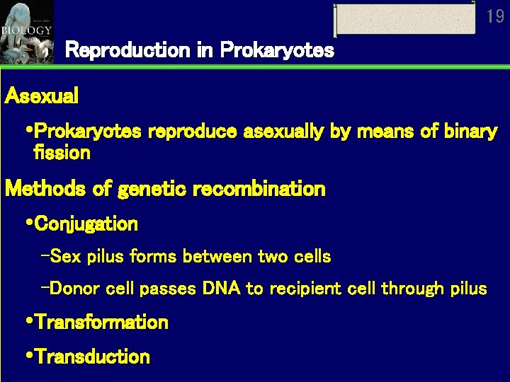 19 Reproduction in Prokaryotes Asexual Prokaryotes reproduce asexually by means of binary fission Methods