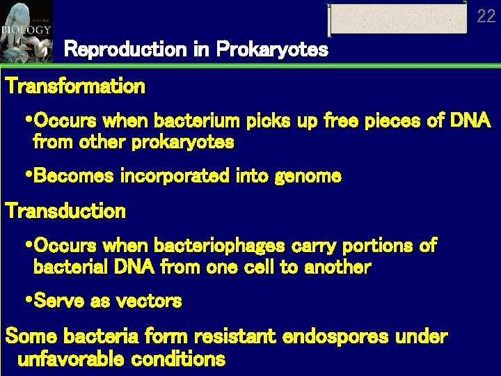 22 Reproduction in Prokaryotes Transformation Occurs when bacterium picks up free pieces of DNA