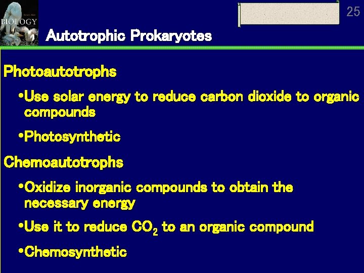 25 Autotrophic Prokaryotes Photoautotrophs Use solar energy to reduce carbon dioxide to organic compounds