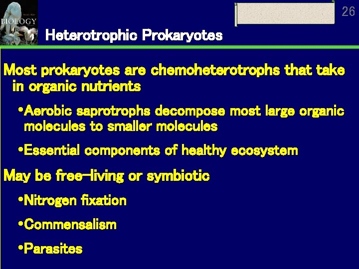 26 Heterotrophic Prokaryotes Most prokaryotes are chemoheterotrophs that take in organic nutrients Aerobic saprotrophs