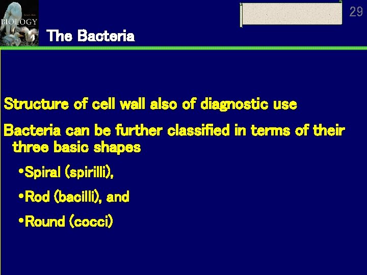 29 The Bacteria Structure of cell wall also of diagnostic use Bacteria can be