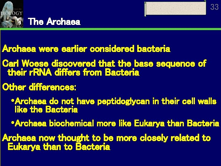 33 The Archaea were earlier considered bacteria Carl Woese discovered that the base sequence