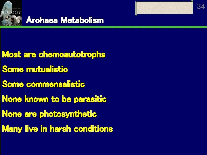 34 Archaea Metabolism Most are chemoautotrophs Some mutualistic Some commensalistic None known to be