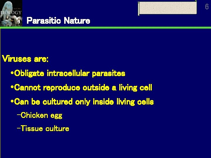 6 Parasitic Nature Viruses are: Obligate intracellular parasites Cannot reproduce outside a living cell