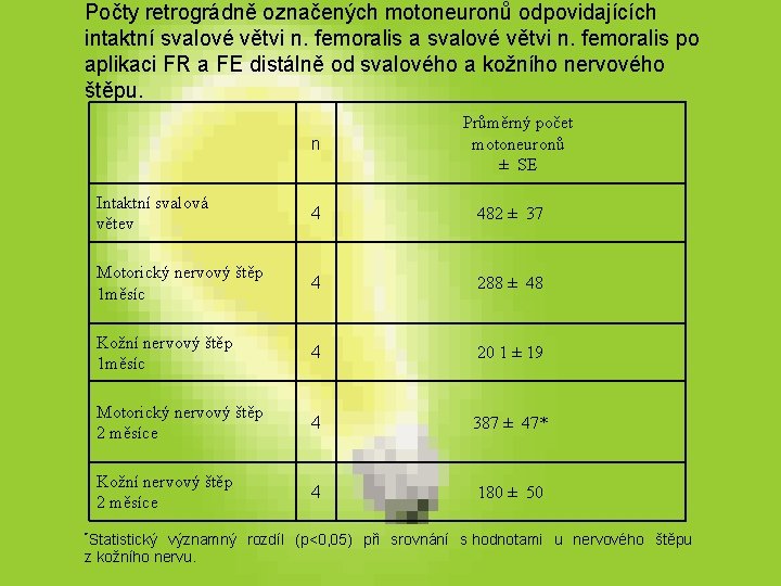 Počty retrográdně označených motoneuronů odpovidajících intaktní svalové větvi n. femoralis a svalové větvi n. Počty retrográdně označených motoneuronů odpovidajících intaktní svalové větvi n. femoralis a svalové větvi n.