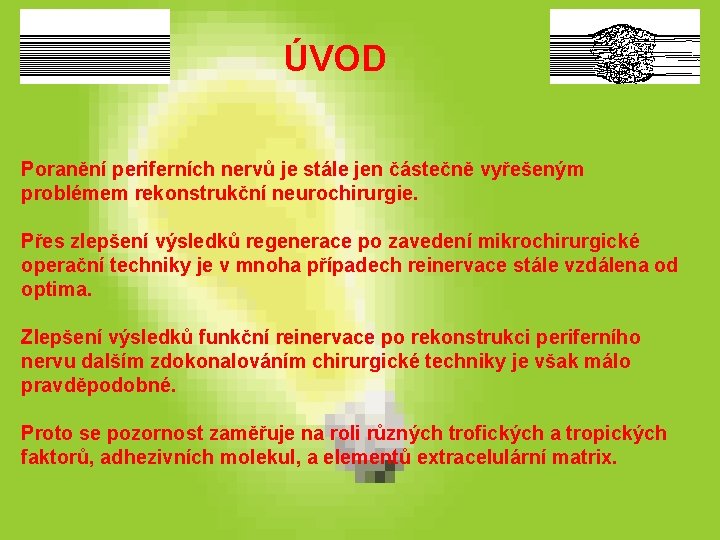 ÚVOD Poranění periferních nervů je stále jen částečně vyřešeným problémem rekonstrukční neurochirurgie. Přes zlepšení ÚVOD Poranění periferních nervů je stále jen částečně vyřešeným problémem rekonstrukční neurochirurgie. Přes zlepšení
