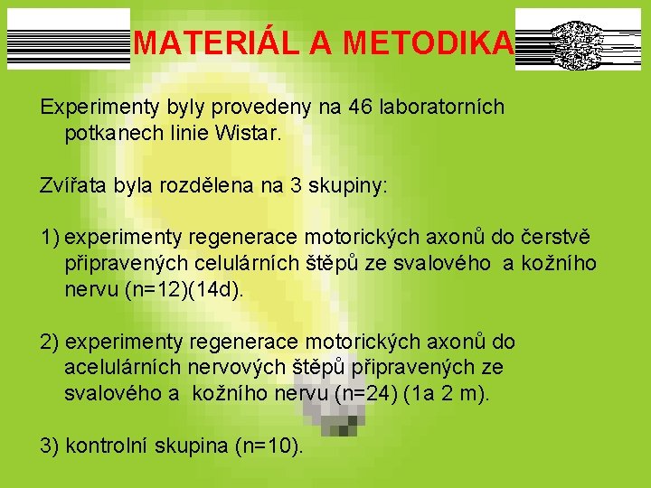 MATERIÁL A METODIKA Experimenty byly provedeny na 46 laboratorních potkanech linie Wistar. Zvířata byla MATERIÁL A METODIKA Experimenty byly provedeny na 46 laboratorních potkanech linie Wistar. Zvířata byla