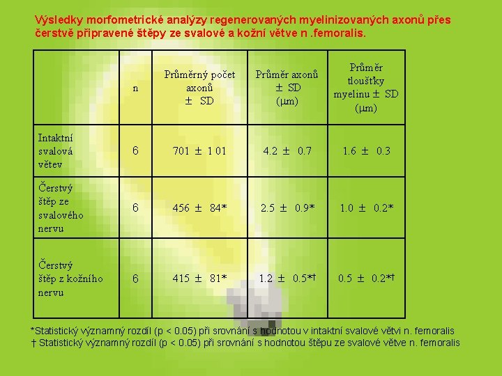 Výsledky morfometrické analýzy regenerovaných myelinizovaných axonů přes čerstvě připravené štěpy ze svalové a kožní Výsledky morfometrické analýzy regenerovaných myelinizovaných axonů přes čerstvě připravené štěpy ze svalové a kožní